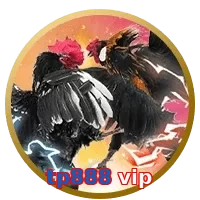 tp888 vip